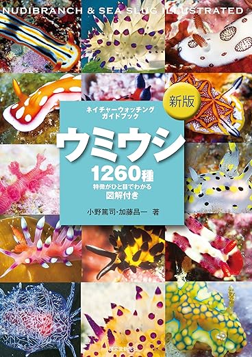 小野篤司 & 加藤昌一. (2020). 新版 ウミウシ. 誠文堂新光社. cover
