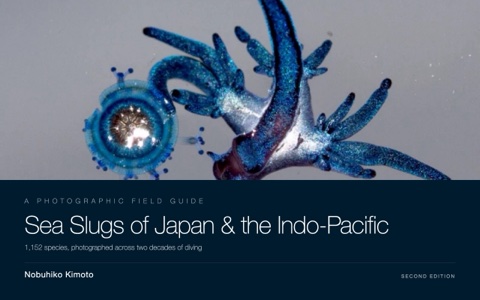 Kimoto N. (2026). Sea Slugs of Japan & the Indo-Pacific, 2nd Edition. cover