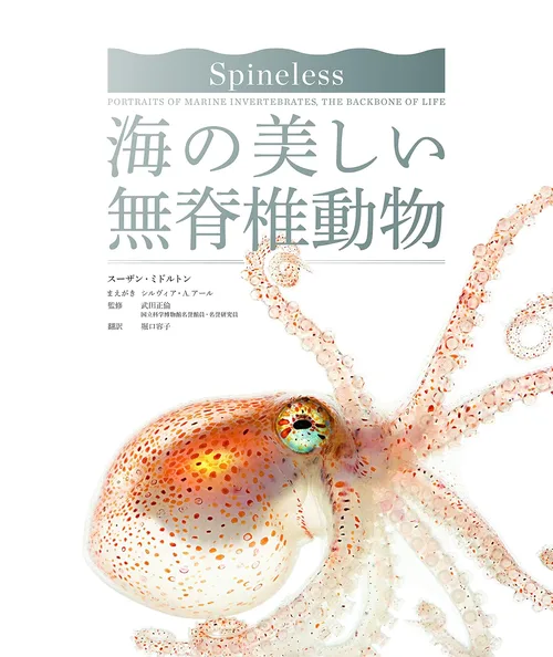 スーザン・ミドルトン他. (2015). 海の美しい無脊椎動物. 創元社. cover
