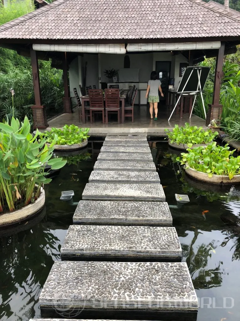 International Sea Slug Workshop, Bali, February 2019