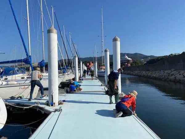 Yacht harbor