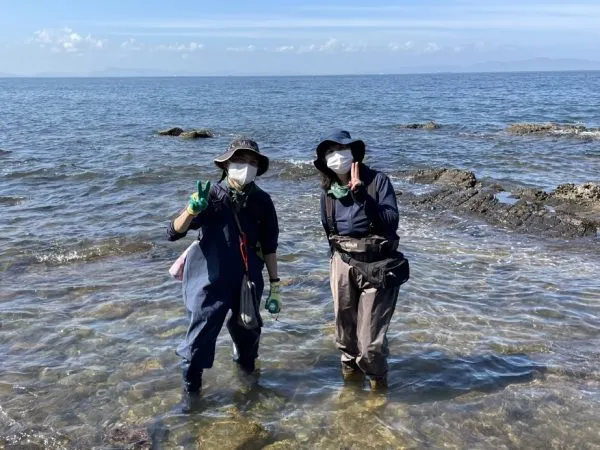 Chest waders