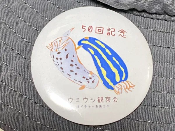 Commemorative pin badges